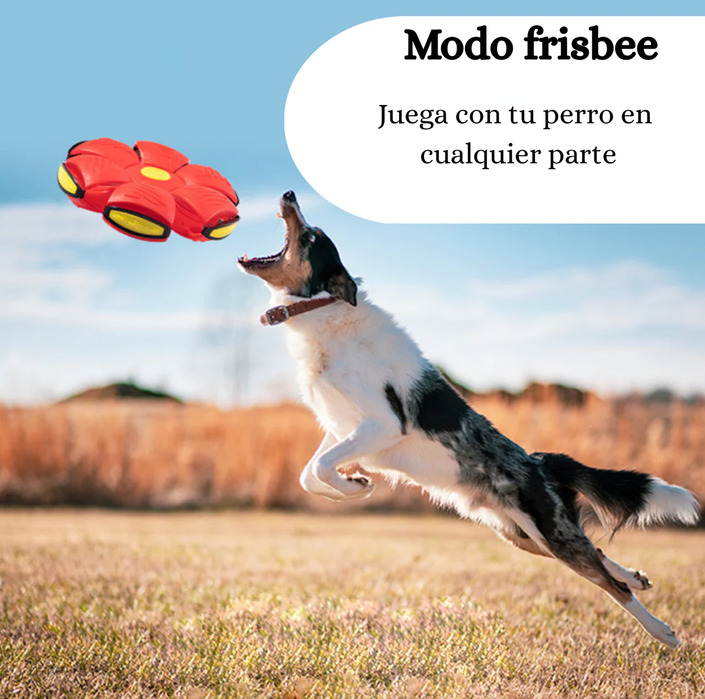FlyBall™ + cepillo manopla de regalo 🎁